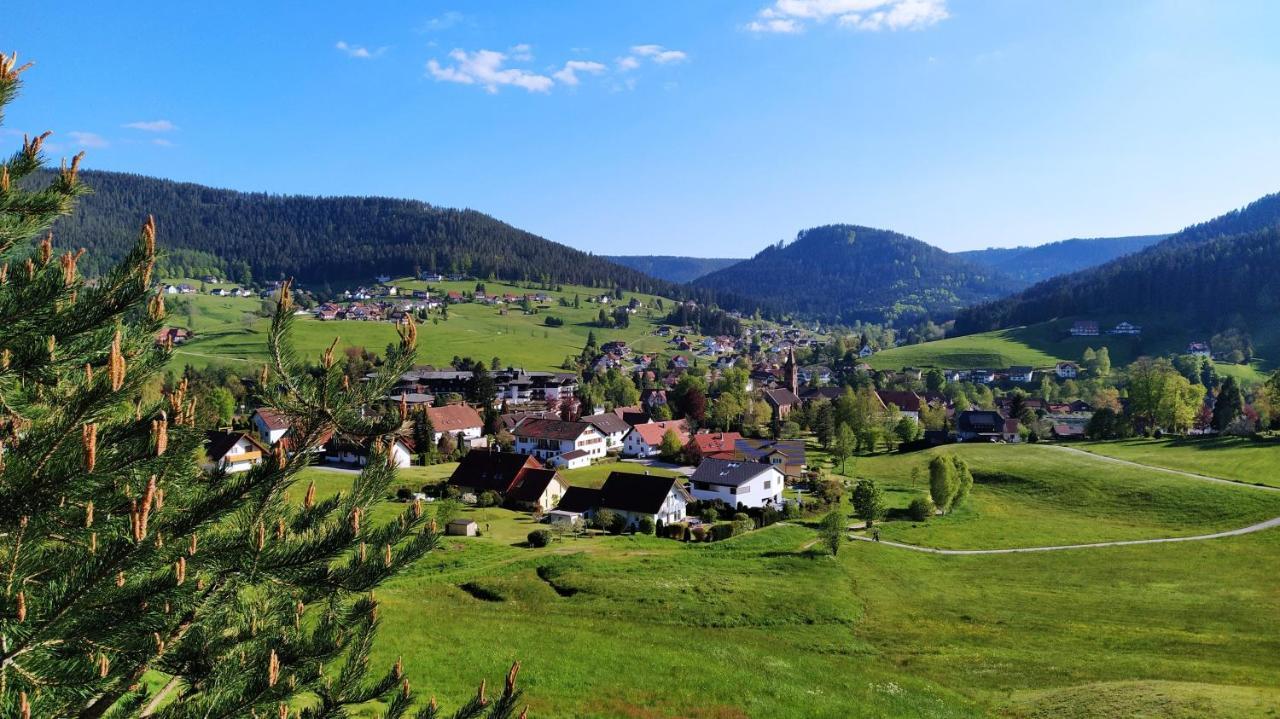 Ferienwohnung, Sauna & Gaestekarte Gratis Im Schwarzwald 바이에르스브론 외부 사진