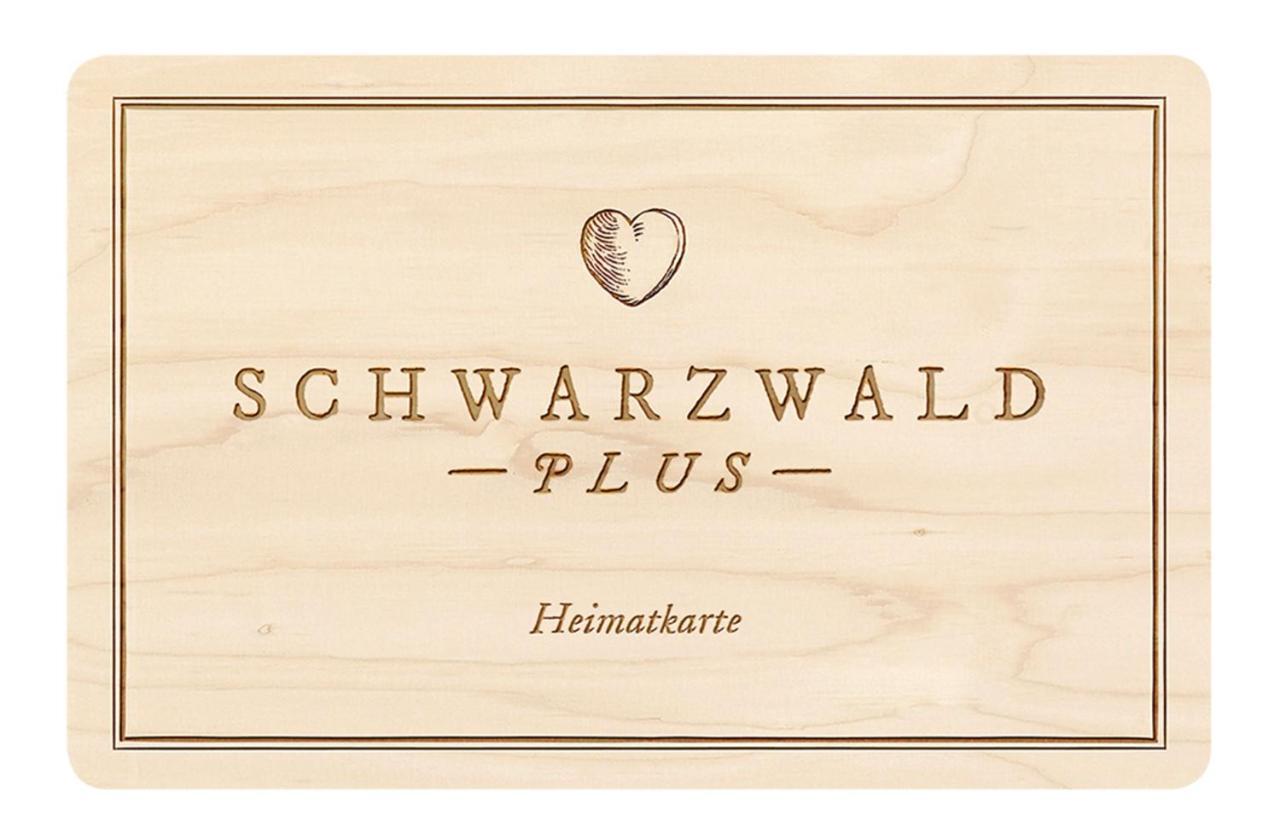 Ferienwohnung, Sauna & Gaestekarte Gratis Im Schwarzwald 바이에르스브론 외부 사진