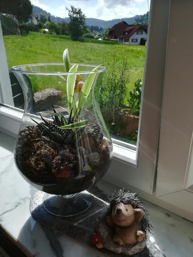 Ferienwohnung, Sauna & Gaestekarte Gratis Im Schwarzwald 바이에르스브론 외부 사진